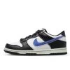 Nike Dunk Low Next Nature TPU Swoosh -Urban Sneaker Soldes nike dunk low next nature tpu swoosh
